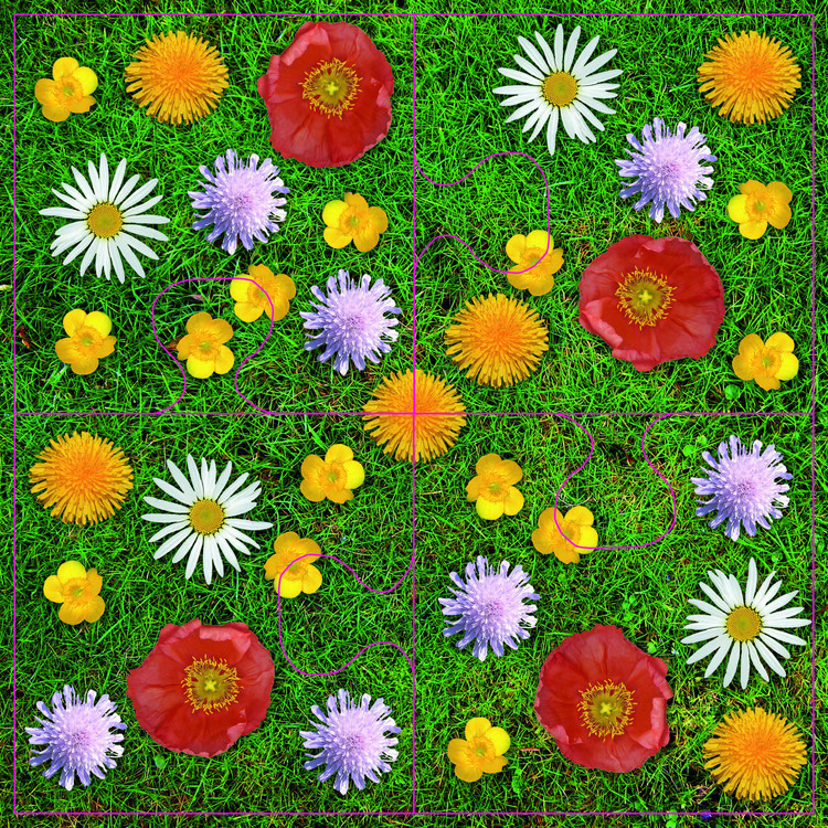 Vier Puzzles mit Erfolgsgarantie: Wiesenblumen