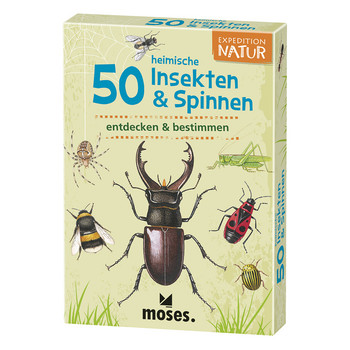 Expedition Natur: 50 heimische Insekten & Spinnen