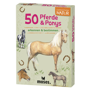Expedition Natur: 50 Pferde & Ponys